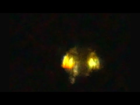 11.11.18 Insane Golden Sphere lands in my woods / Strong Profanity