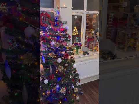 We’re so happy we were able to put up the Christmas tree and lights! #xmasiscoming #xmastree