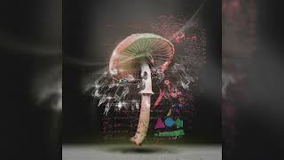 LUSU - Afterlife | Drumcode