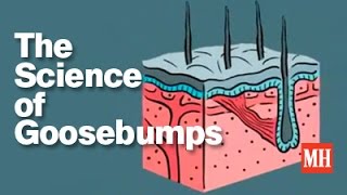 The Science of Goosebumps