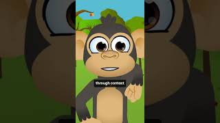 Monkeypox in 60 Seconds! 🐒 What You Need to Know!