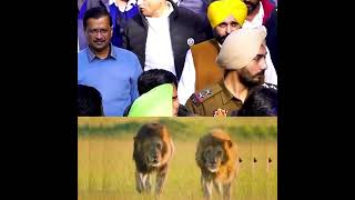 #kejriwal fan #kejriwal #aapaadmiparty #aap #arvindkejriwal  #kejriwal #politics