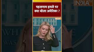 Pahalgam Attack पर क्या बोला अमेरिका #PahalgamTerroristAttack #Pahalgam