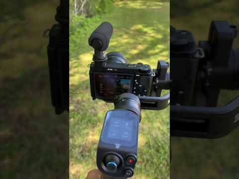The best compact gimbal period #feiyutechscorpmini2 #gimbalstabilizer #scorpmini2