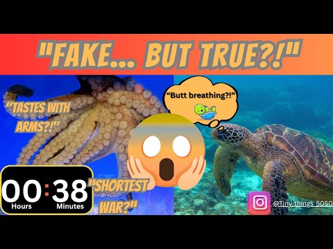 "15 Facts That Sound Fake (But Are 100% True)"| ⁨@Tiny_things_5050⁩ #facts #motivation #unbelievable
