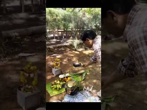 Pongal Celebration 2023