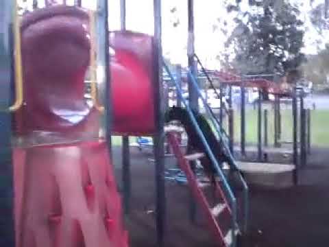Helter Skelter Tazzy