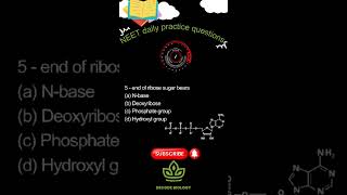 Ribose sugar|molecular basis of inheritance|neet daily practice questions