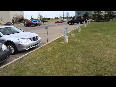 Shaw parking lot May 13 2015