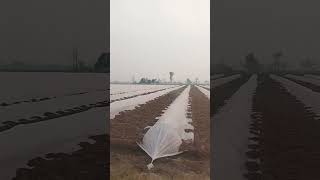 #daliyroutine #bestofnusratfatehalikhan #hunjuo