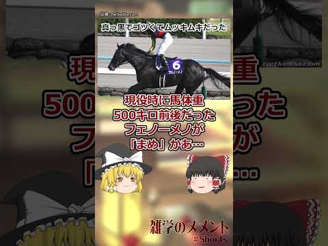 戸田博文調教師が新潟競馬場へ行こうとしたら【ゆっくり解説】 #競馬 #Shorts