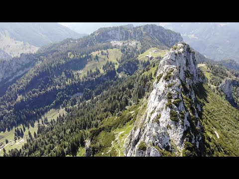 1111Hz Relaxation Music ❯ Ambient Harp, Nature Sounds ❯ Healing Stress Relief ❯ Meditation, Yoga