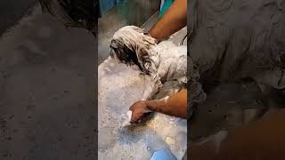 siju grooming 💦👀🛀 #artist #dog_features #exploremore