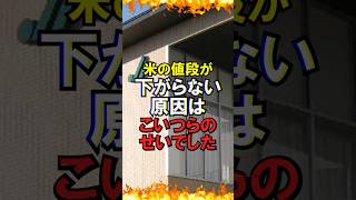 ㊗️50万再生!!【ゆっくり解説】コメの値段が下がらない原因はこいつらのせいでした #自民党 #石破茂 #高市早苗 #国民民主党 #玉木雄一郎 #財務省 #立憲民主党 #れいわ新選組