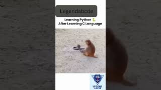Learning python After learning C++🤣🤣😂_________#funny #comedy #Coding #entertainment #trending
