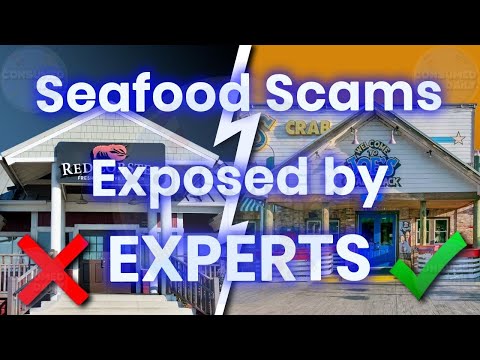 10 Seafood Restaurants To AVOID At All Costs! And What Are Safe!