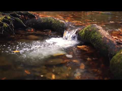 Monsoon feeling with sweet music