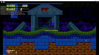 CSS Custom Level - Lunar Labyrinth (FT. Amy Rose)