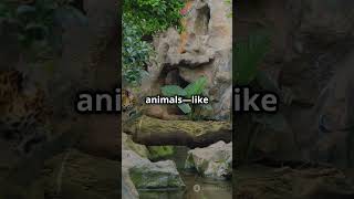 Discover Chapada Dos Veadeiros National Park!#ai #facts #algorithm #adventure #brazil #shorts #viral