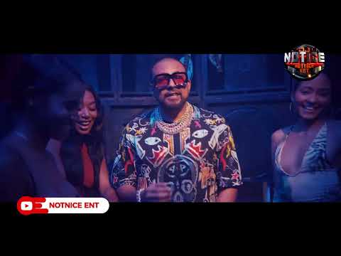 STREET VYBZ 2.0 RIDDIM MIX - DJ NOTICE FT AIDONIA,KAKAHIGH,GOVANA,SEAN PAUL,