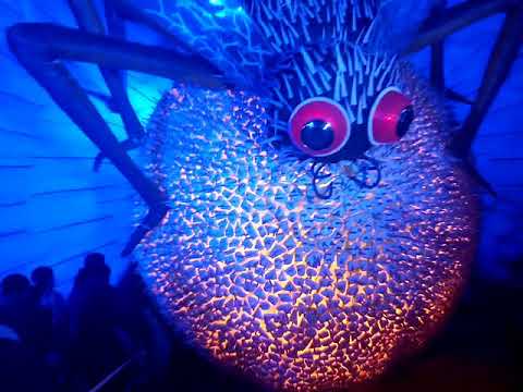Helencha Kali Pujo( life of Bees)