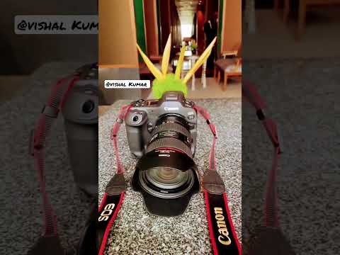 Vishal Kumar New video camera R3 #reels @Vishal8896
