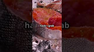 Zero Cost Hack  Aluminum Foil Heat Refle