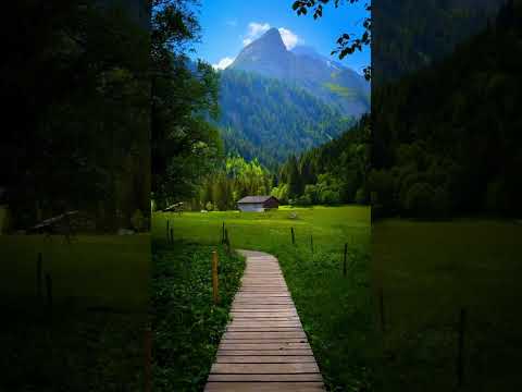 I said I love you #fyp #BreakupSong  #HealingMusic #GrowthStory #ChillSong #ComfortSong #LifeSong