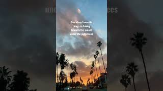 #sunsetlover #sunset #venicebeach