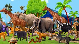 Animal Sounds Song| Wild Animal Names And Sounds| Animals Song For Kids| Baby Song For Children