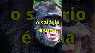 salário de desenvolvedor  #programação #salario