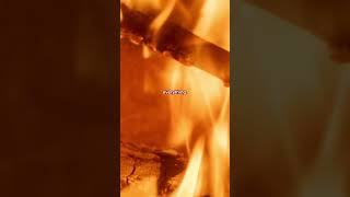 Fire signs love with their whole heart. ♈♌♐ #FireSign #Zodiac #Astrology