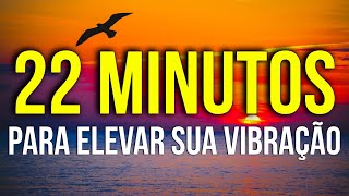 22 MINUTES TO RAISE YOUR POSITIVE VIBRATION | Law of Attraction