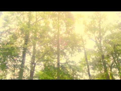 SUNROOT