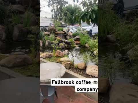 #coffee #morning #fallbrook #california #pastries #patio #firepits #breakfast #coffeeaddict #family