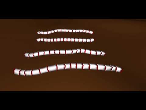 snake_warm_like_locomotion