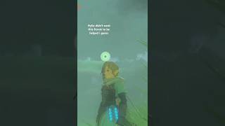 Hylia doesn't like this Korok #zelda #zeldatearsofthekingdom #thelegendofzeldatearsofthekingdom