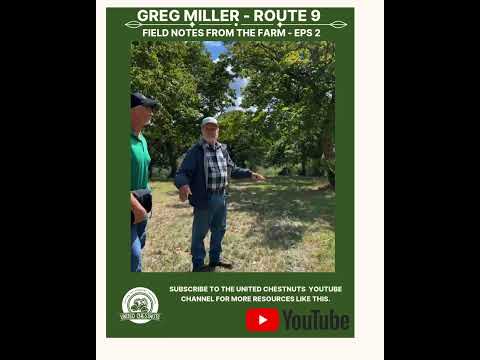 Field Notes From The Farm: Greg Miller – Route 9 – Eps 2 #chestnuts #unitedchestnuts #route9