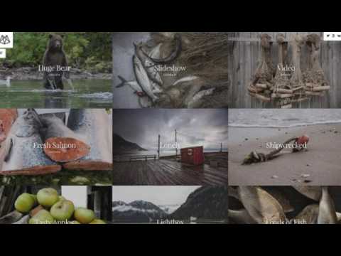 WordPress Responsive Portfolio Themes