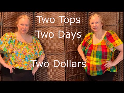 Sewing 2 tops in 2 days for 2 dollars