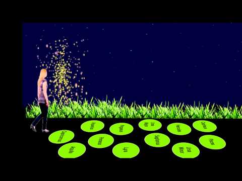 Firefly
