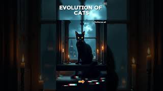 The Evolution Of Cats 🐈