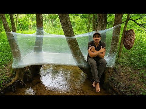 Into the Wild – Building Shelter and Hunting Bees!