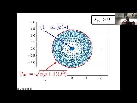 Spectral theory for networks and its application to economy - Izaak Neri