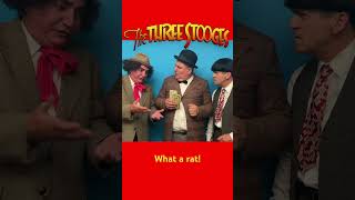 Trapped again!                  #comedy #classiccomedy #lostreschiflados #thethreestooges