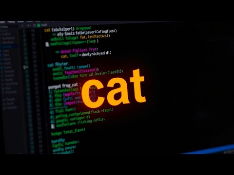 Linux Cat Command Tutorial | All Flags & Examples Explained for Beginners