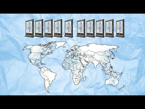 MIDAS ORO - Introduction