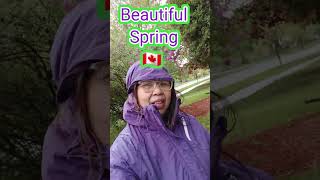 Beautiful Spring#beautifulnature #spring #springvibes