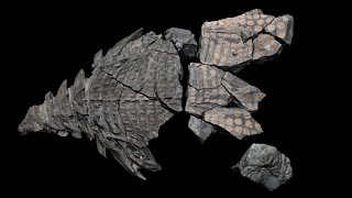 Three.js Portfolio Website | 3D National Geographic Experience | Javascript 3D Web Development