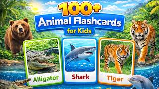 Animal Flashcards for Toddlers | Learn Animal Names with Over 100 Different Animals for Kids